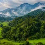 Coorg-India