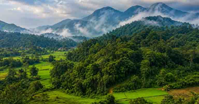 Coorg-India